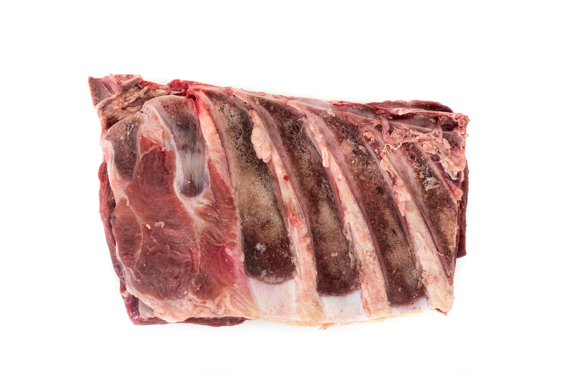 Aguja norteña de novillo