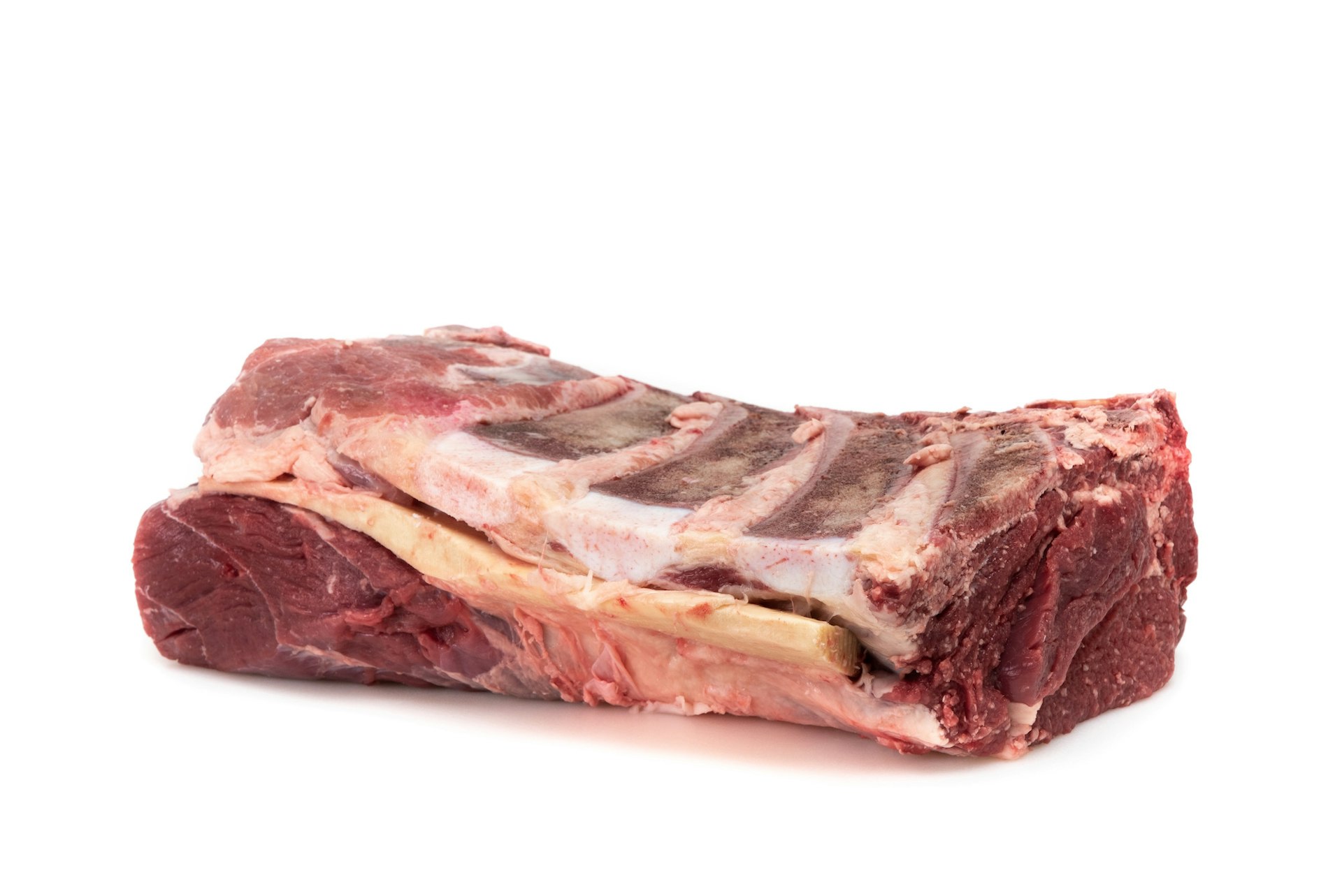 Aguja norteña de novillo