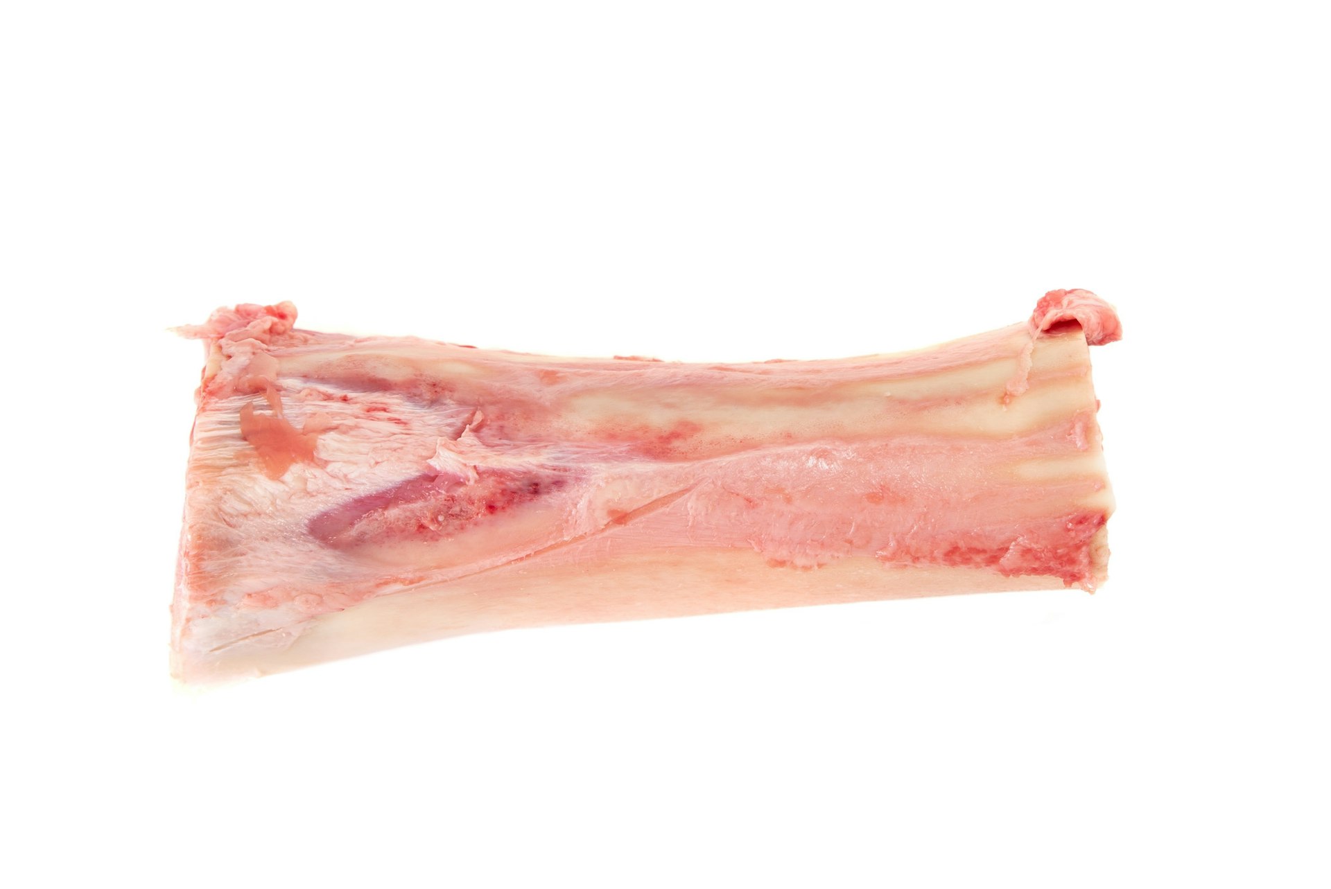 hueso tuetanero de novillo