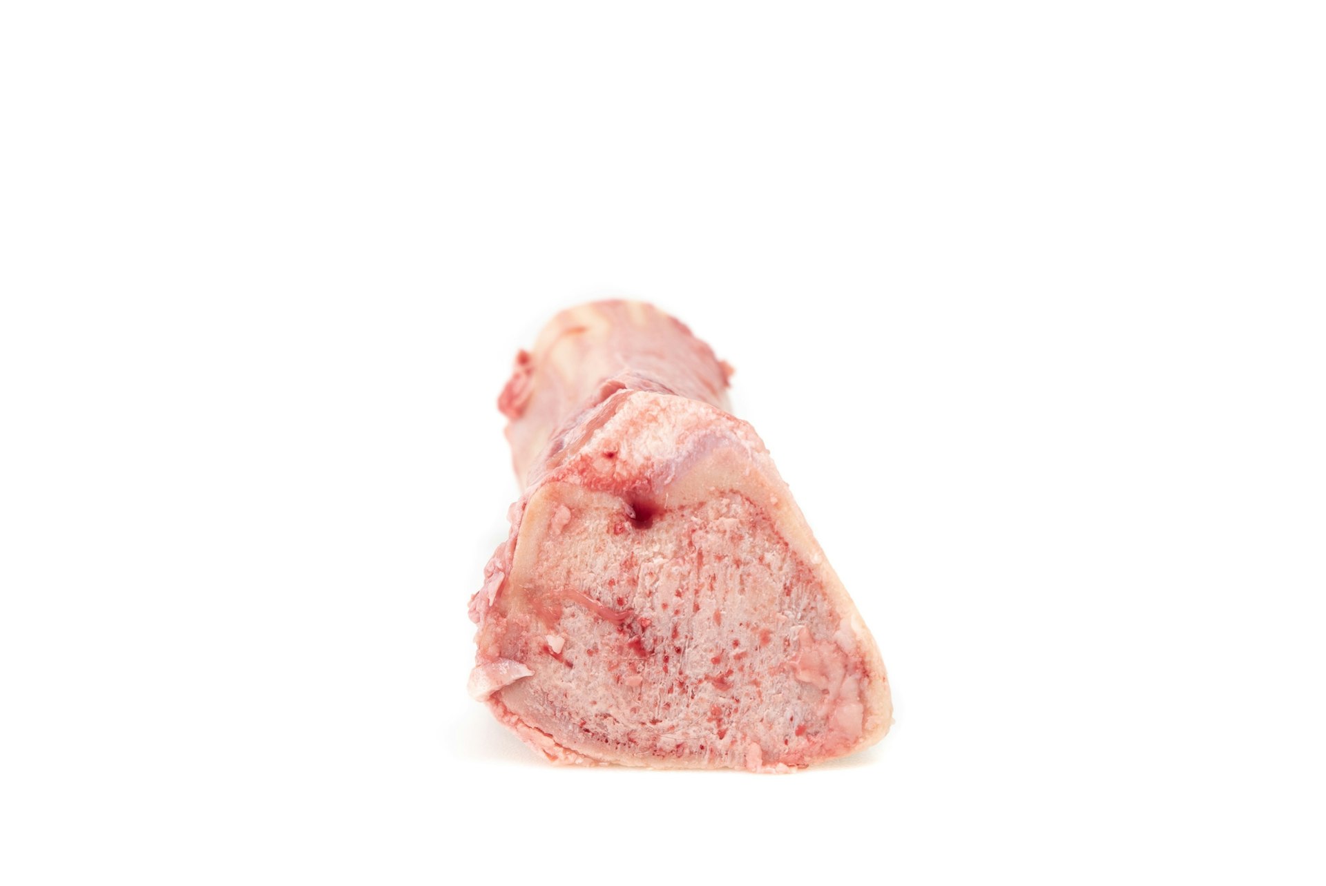 Hueso tuetanero de novillo al mayoreo en todo México.