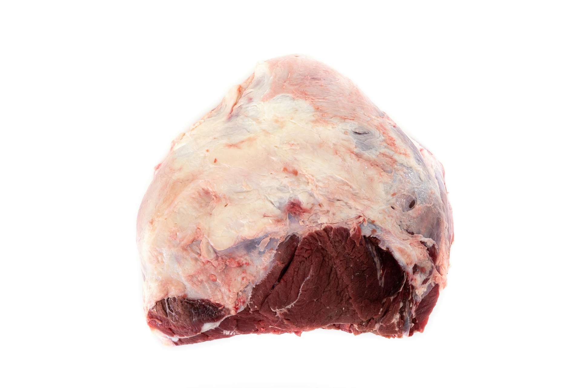 Pulpa negra al mayoreo en todo México.