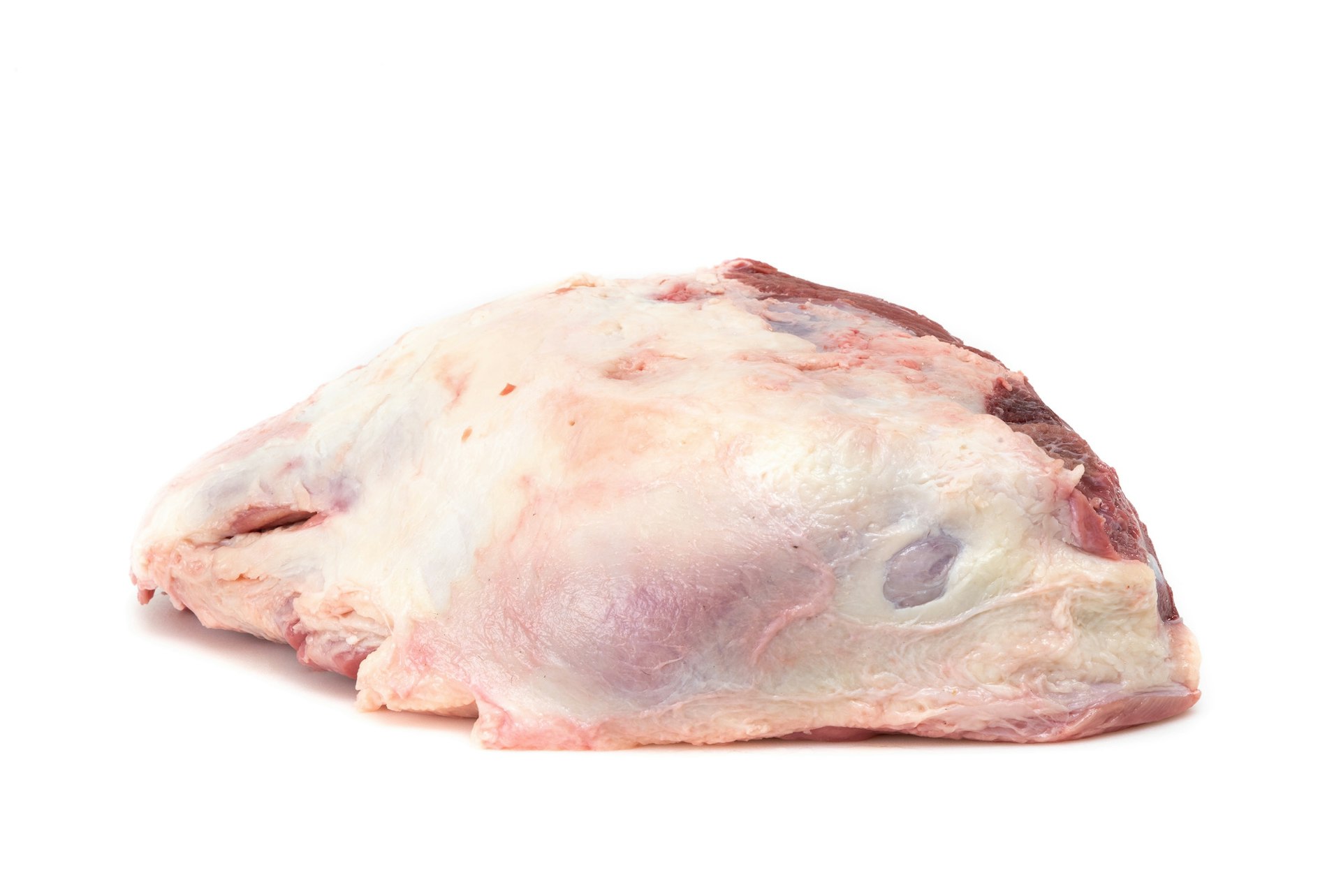 Pulpa negra de novillo