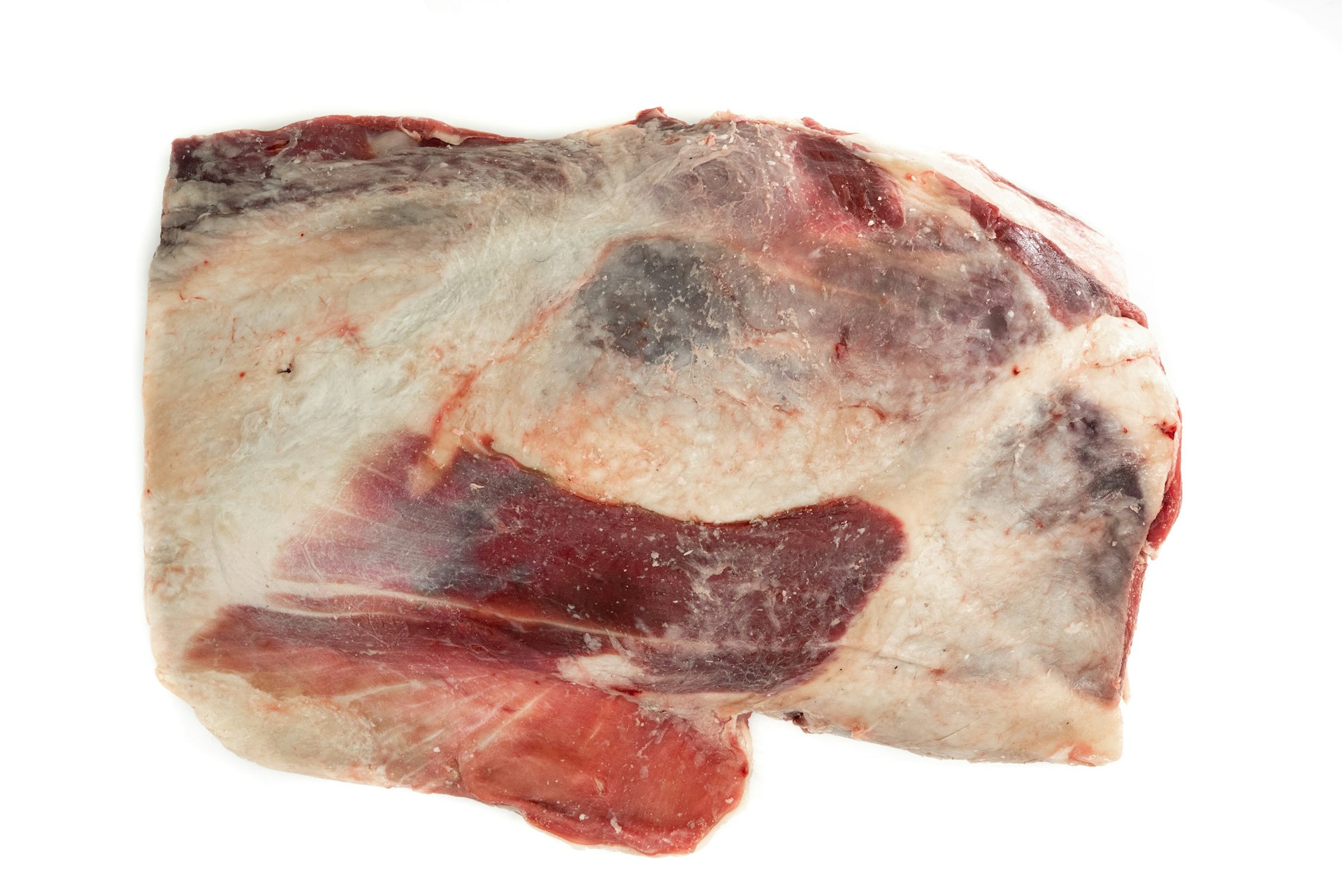 Paleta con hueso de res de vaca al mayoreo en Mexico